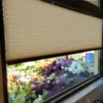 Miniaturka - Jasne plisy okienne zamontowane w witrynie salonu usługowego w Warszawie, widok na ekspozycję kwiatową przez szybę.